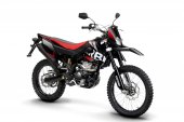 2010 Derbi Senda DRD 125 4T 4V R photo